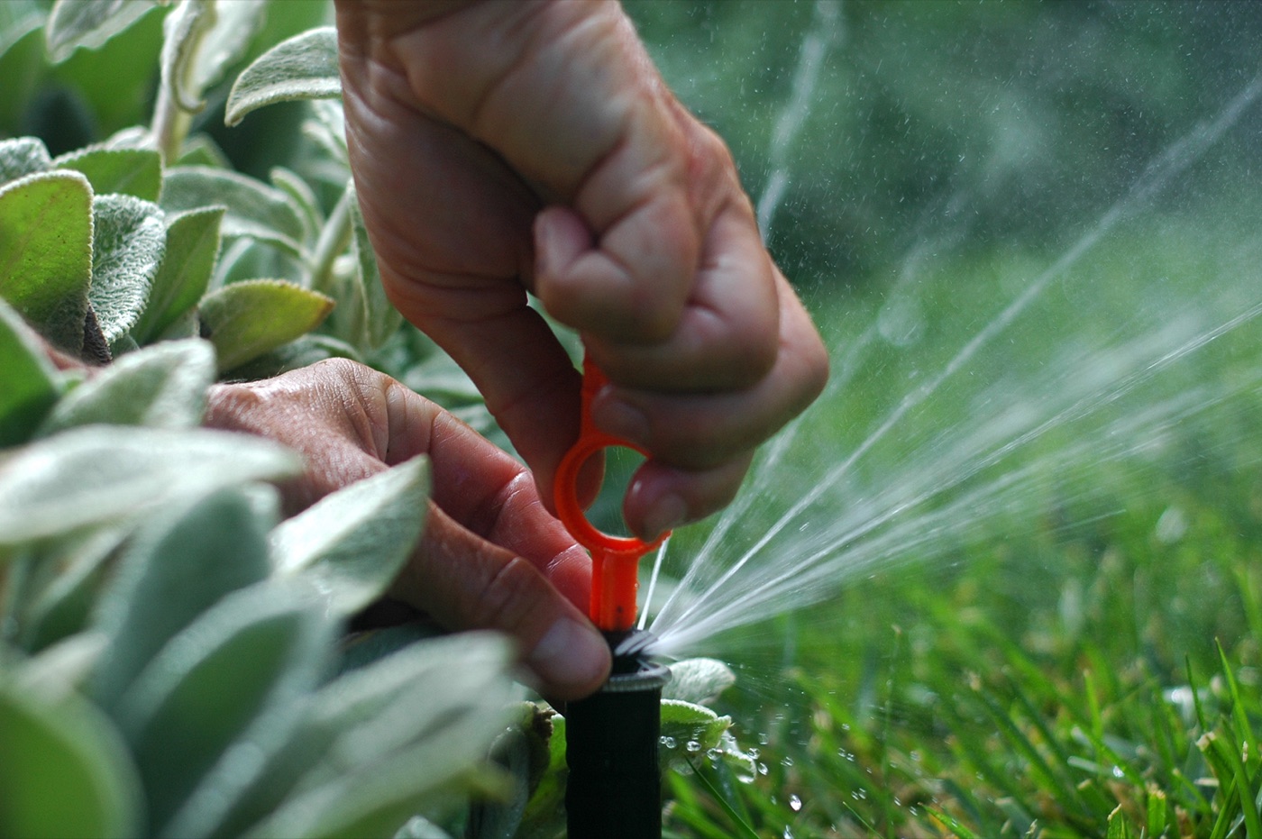 Adjusting a sprinkler head in Jacksonville, FL